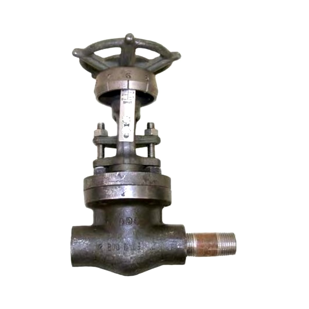 1/2 inch NPT Globe Valve